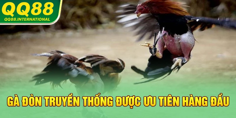 Gà đòn truyền thống được ưu tiên hàng đầu